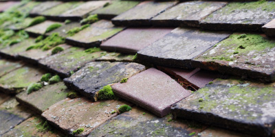 Dyffryn roof repair costs